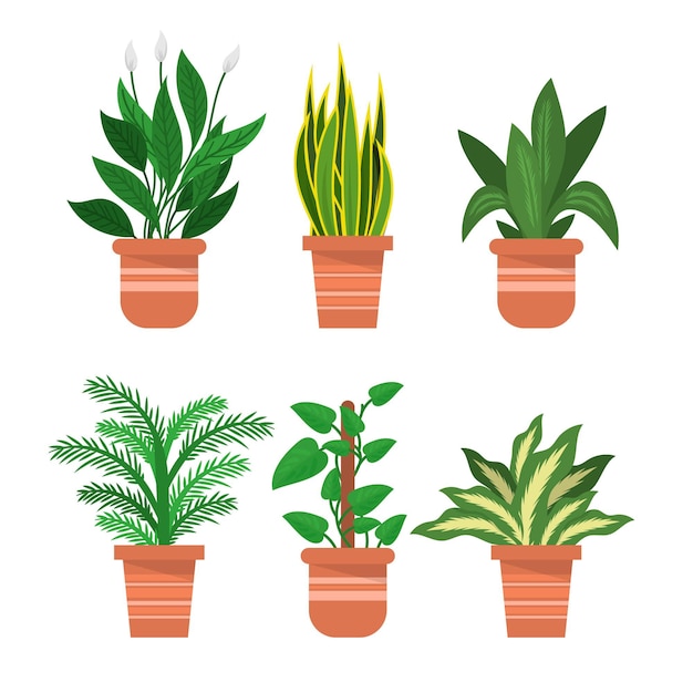 Free vector organic flat houseplant collection