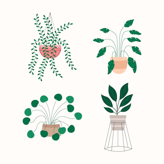 Free Vector organic flat houseplant collection