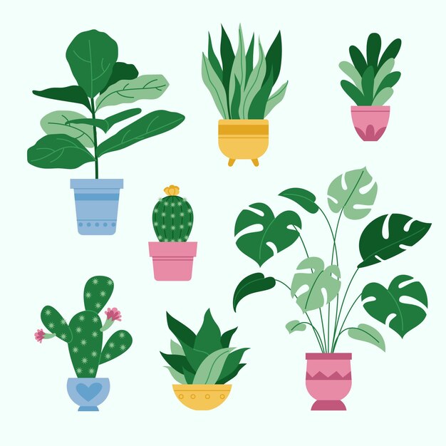 Organic flat houseplant collection