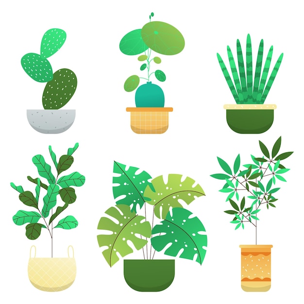 Free Vector organic flat houseplant collection