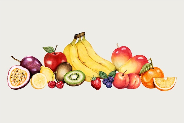 Free Vector organic fruit set