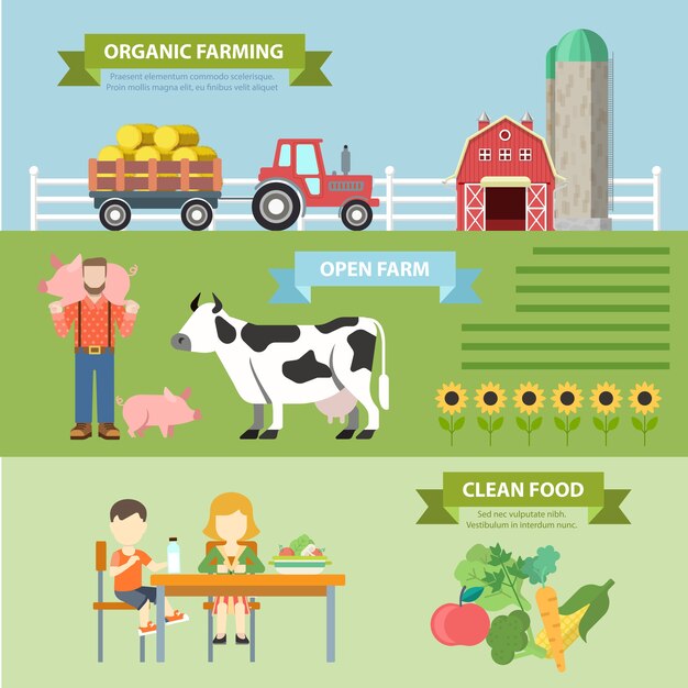 Organic natural farm flat style thematic infographics concept