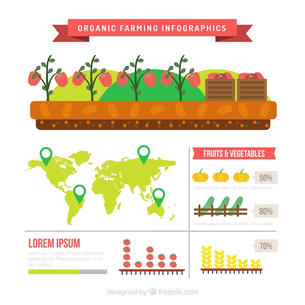 Organic products infography