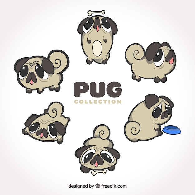 Free Vector original variety of funny pugs