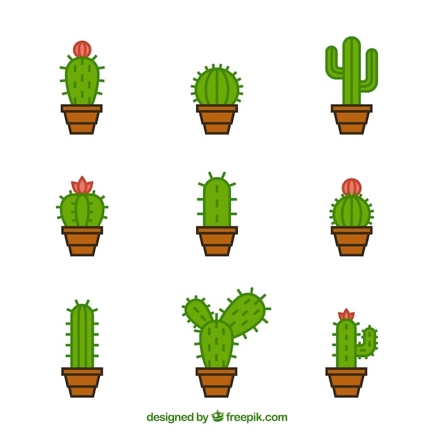 Free Vector original variety of modern cactus