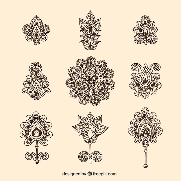 Free Vector ornamental flowers collection