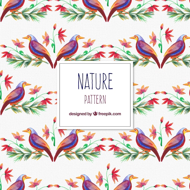 Free Vector ornamental pattern of watercolor birds and flowers