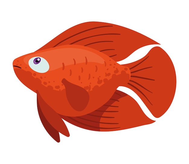 Free Vector ornamental red fish swiming life