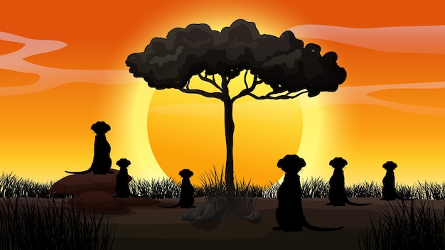 Outdoor nature silhouette sunset scene