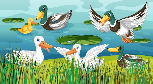 Outdoor scene with cartoon ducks