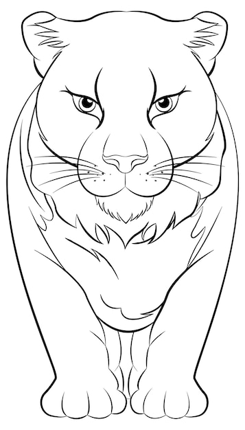 Free Vector outline of female lion cartoon for colouring