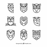 Free vector outline owl collection