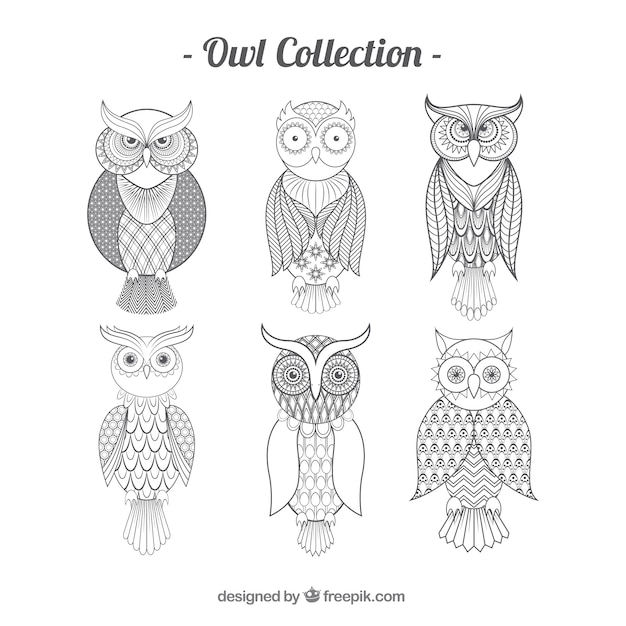 Free vector outline owl pack of six