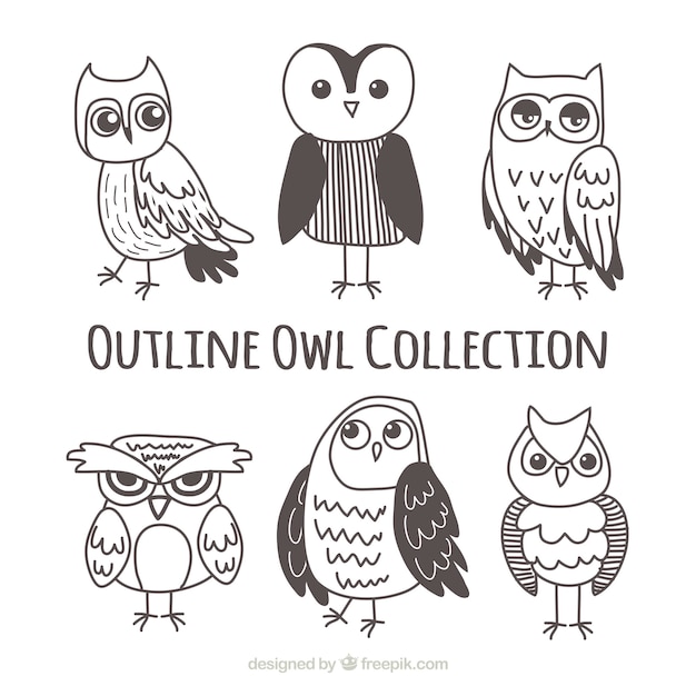 Outline owl set