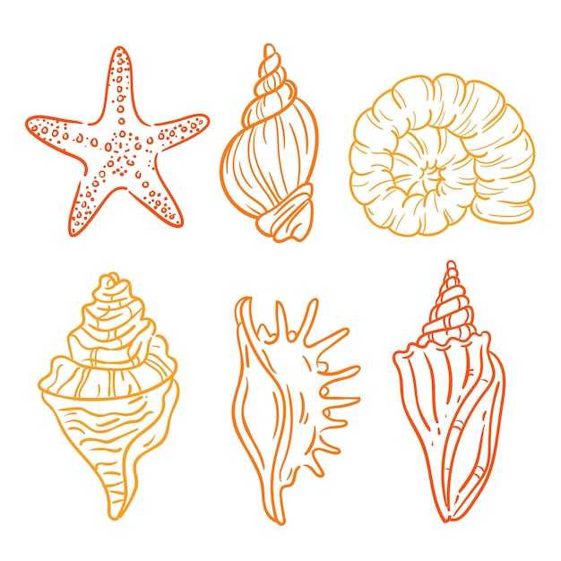 Free Vector outline seashell illustration set