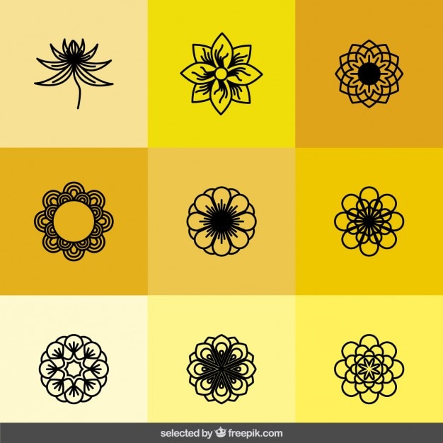 Free Vector outlined flowers collection