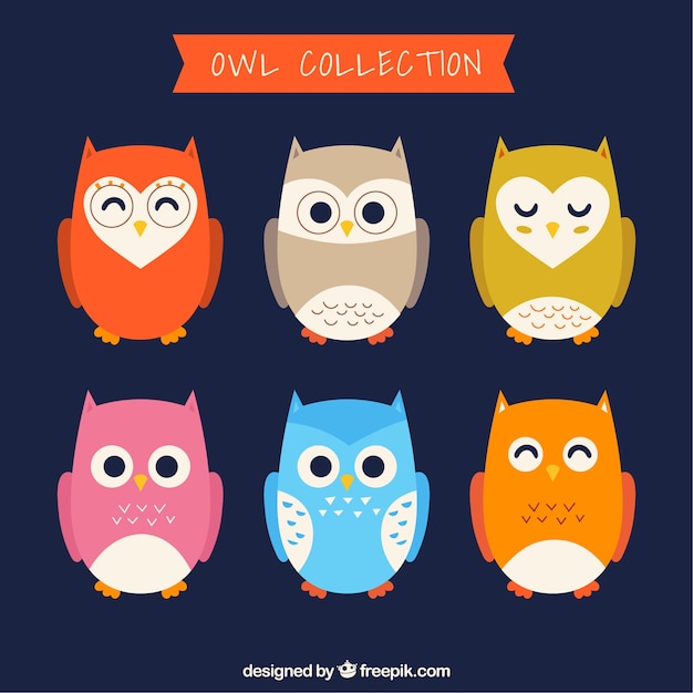 Free Vector owl pack in flat style