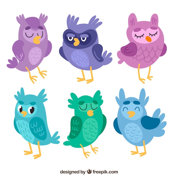 Free Vector owl set in different colors