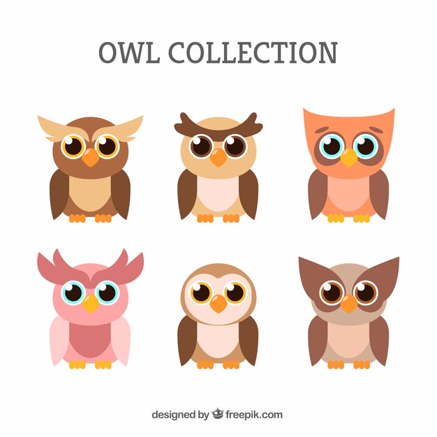 Free Vector owl set in flat style