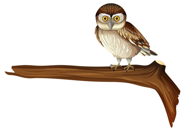 Owl standing on tree branch in cartoon style