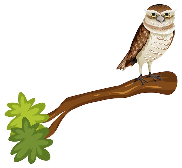 Free Vector owl standing on the tree branch