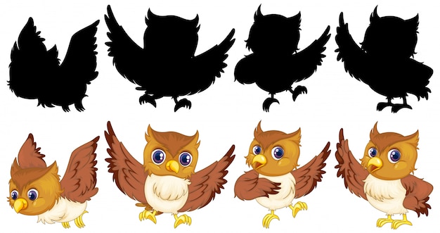 Free Vector owl with its silhouette