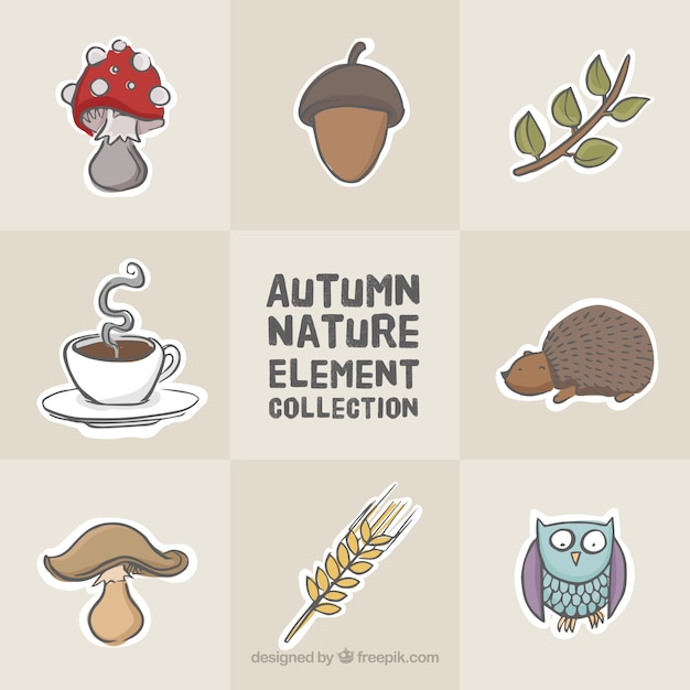 Free vector owl with other nature elements