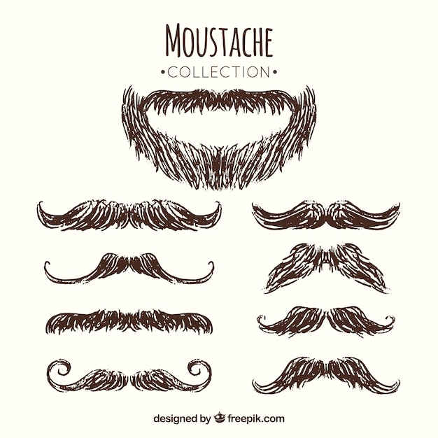 Free Vector pack of beard and mustache sketches