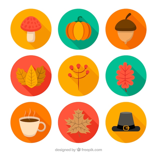 Free Vector pack of beautiful autumn elements in flat design