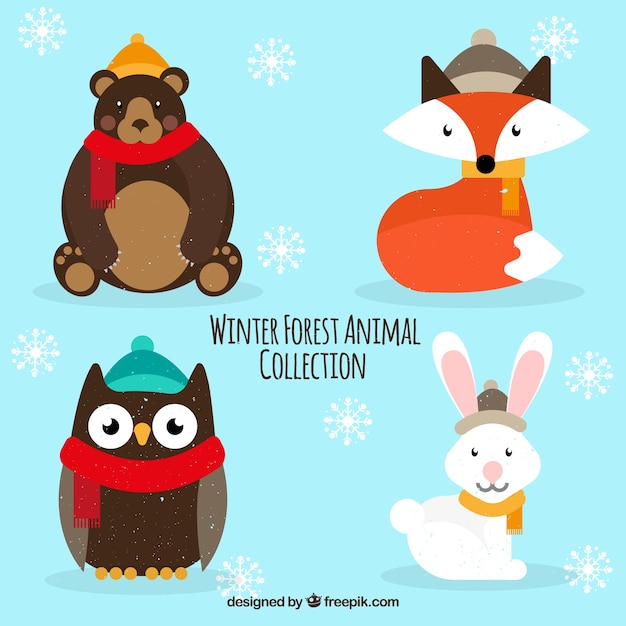 Pack of beautiful forest animals