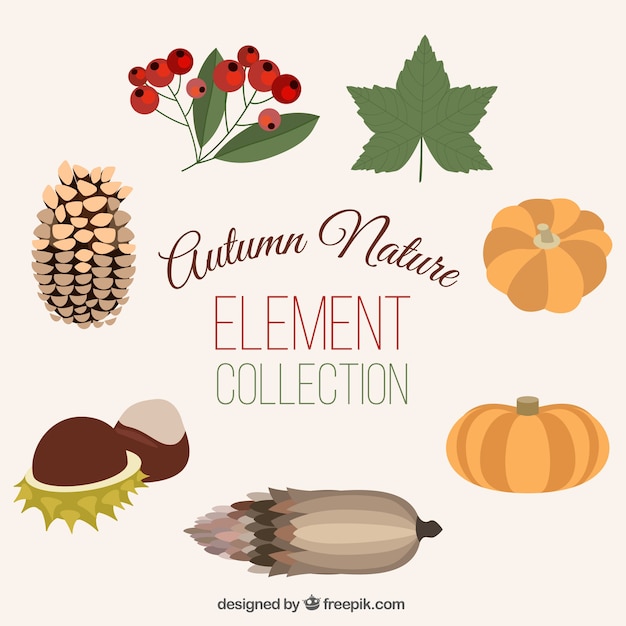 Free Vector pack of beautiful natural autumn elements