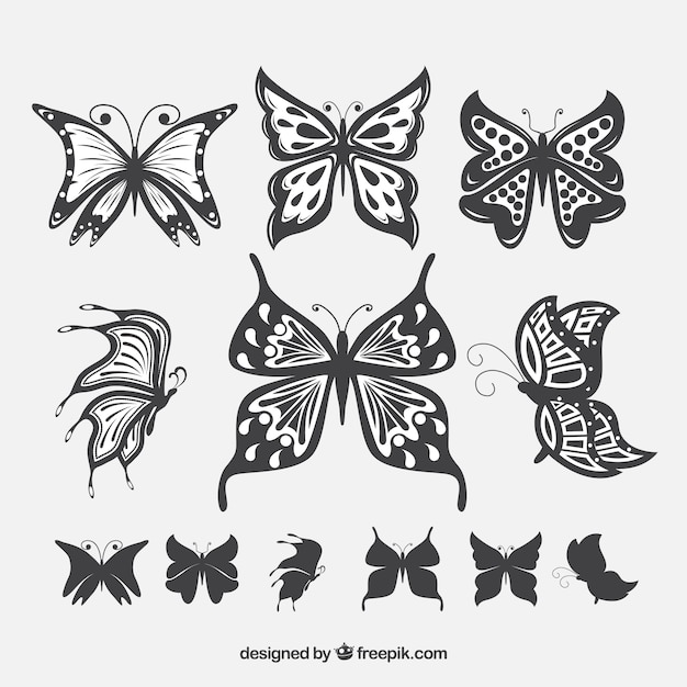 Free vector pack of butterflies with beautiful wings