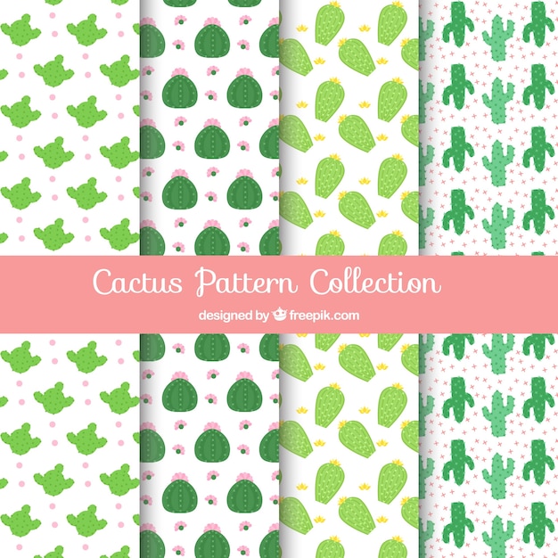 Free Vector pack of decorative cactus patterns