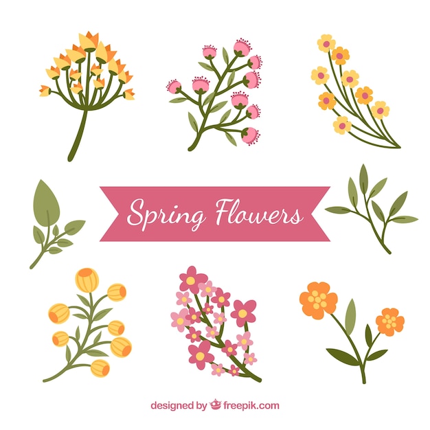 Pack of different spring flowers