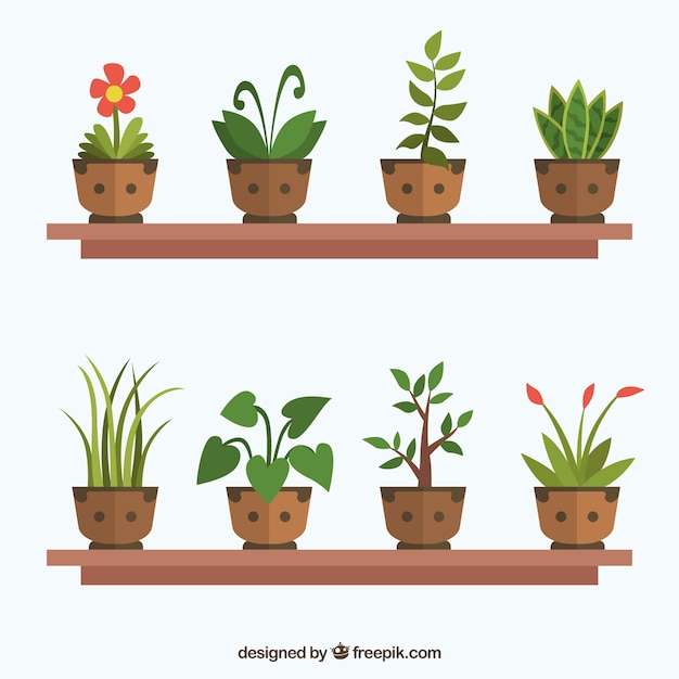 Pack of eigh plants in flat design