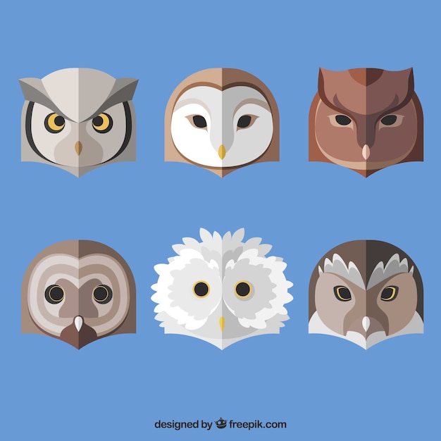 Free Vector pack of ethnic owls in flat design