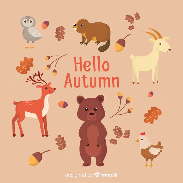 Pack of forest animals flat design