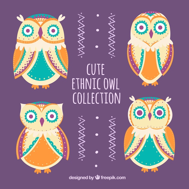 Free Vector pack of four colorful ethnic owls