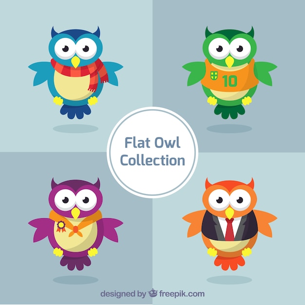 Pack of four colorful owls