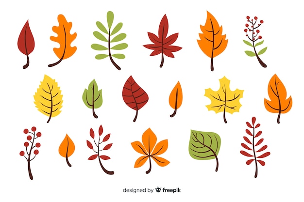 Pack of hand drawn autumn leaves