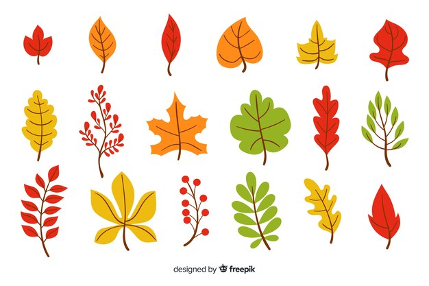 Pack of hand drawn autumn leaves