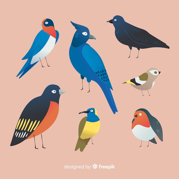 Free Vector pack of hand drawn birds