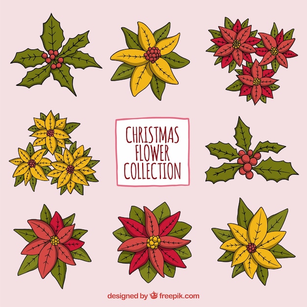 Free vector pack of hand-drawn christmas flowers