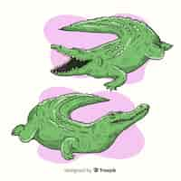 Free vector pack of hand drawn crocodile