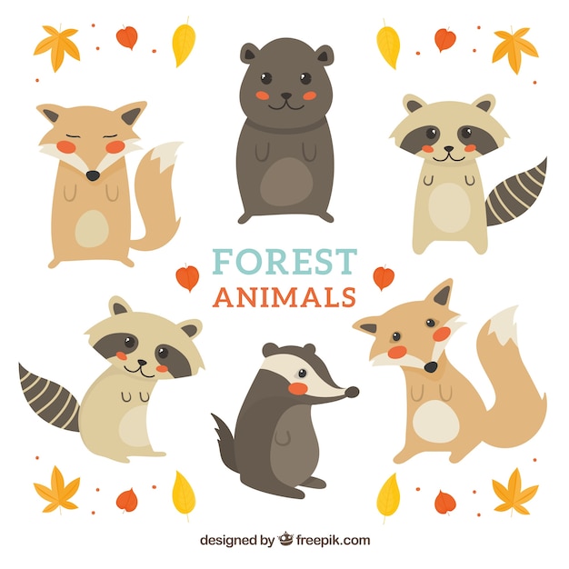 Pack of hand drawn cute forest animals