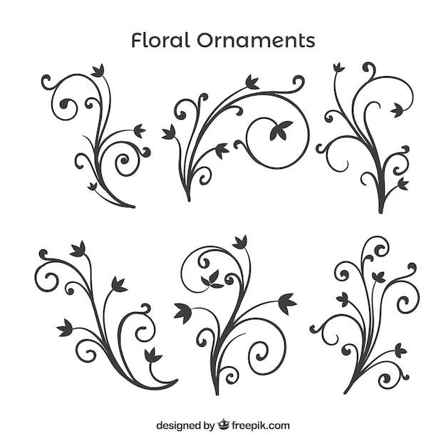 Pack of hand drawn floral ornaments