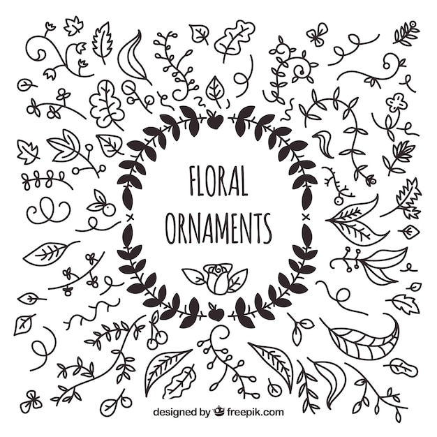 Pack of hand drawn floral ornaments