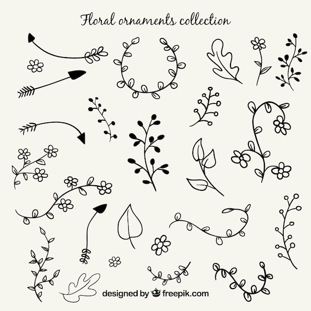 Free Vector pack of hand drawn flowers and leaves 