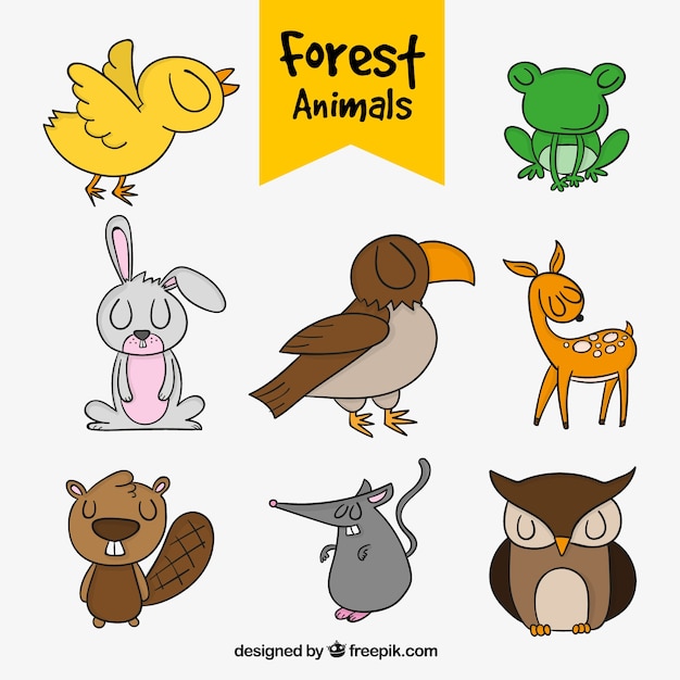 Pack of hand-drawn forest animals