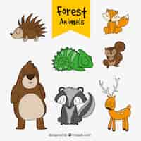 Free vector pack of hand-drawn forest animals